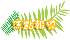 焦點報導